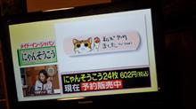 にゃんそうこう　注文しました