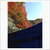 紅葉狩り