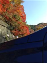 紅葉狩り
