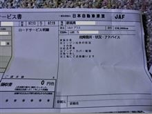 動物の上をクルマが通りぬけた…「代償」