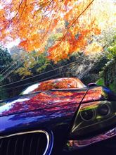 紅葉とZ4♡