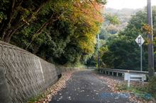しばし文学と映画の世界に･･･(&#180; ▽｀).。ｏ♪♪