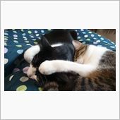 オフシーズンの休日