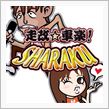 ユーロカップ３時間耐久レース＆ラジアルレース・・・