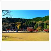 嫌な季節