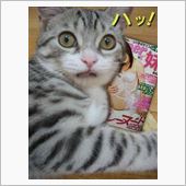 さて…