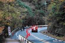 紅葉とグルメツアー 紅葉とグルメツアー