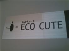 あわや壁にドン! あわや壁にドン!