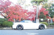 秋深まり。。。音気持ちぃ！