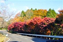 紅葉ドライブ
