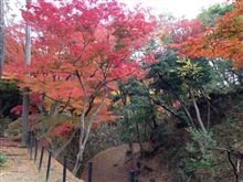 岡崎城