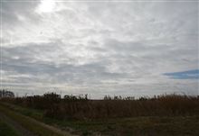 2014年11月27日(木) 松島基地展開その2(笑)