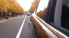今年最後の紅葉狩り