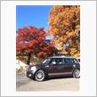 2014紅葉総集編♪