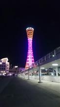 夜の港