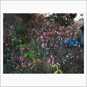 季節感が・・・・・
