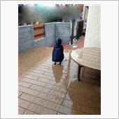 あめのこびと。