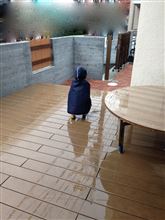 あめのこびと。
