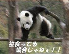 12月3日