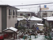 ついにやって来ました♪