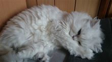 ２０１４年も、あと１カ月～