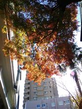 ちょろっとお出かけ。