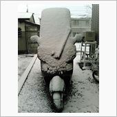 BS号、コールドスリープに…