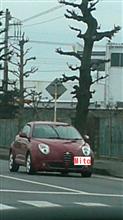 Mitoだぁ♪