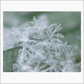 雪かき日記　初回　　タイトル ...