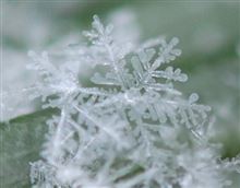 雪かき日記 初回 タイトルが地味ね 雪かき日記 初回 タイトルが地味ね