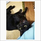 幹事