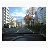 イチョウも散り行き・・・
