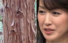 高島礼子さん