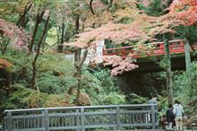 根来寺 紅葉