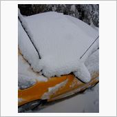 12月のしょっぱなにこれは・ ...