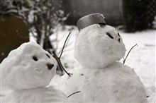 初雪だけど