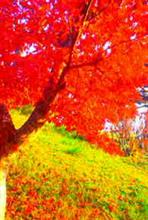 和歌山の紅葉