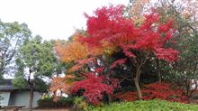 無線LANから有線LANへ