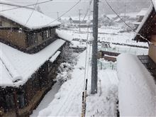 やっとタイヤ交換
