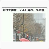 初雪でした！