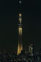 自宅から撮った東京湾とスカイツリー