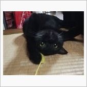 準備
