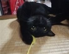 準備