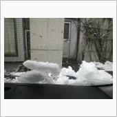 今日は雪