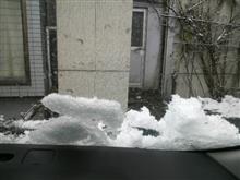 今日は雪 今日は雪