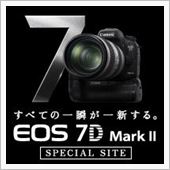 バッテリーグリップ～♪