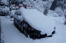 今朝の雪