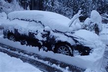 今朝も雪が積もっていました