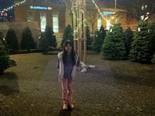 Christmas tree lot