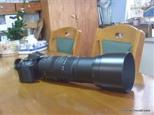 SIGMA APO 150-500mm F5-6.3 DG OS HSM (ﾆｺﾝ用)試撮り